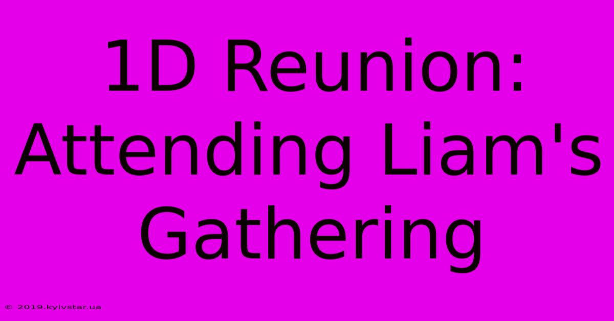 1D Reunion: Attending Liam's Gathering