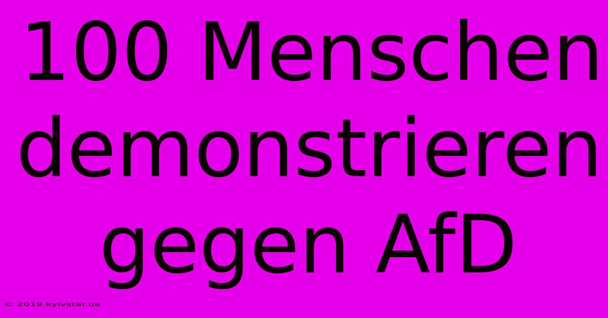 100 Menschen Demonstrieren Gegen AfD