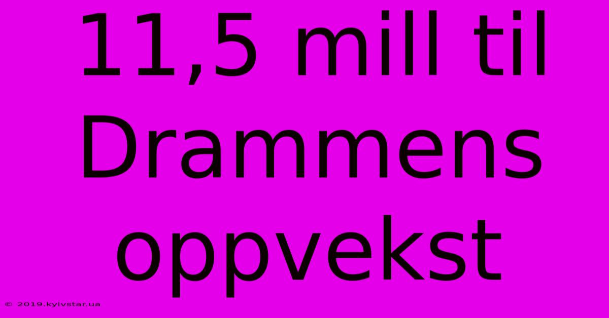 11,5 Mill Til Drammens Oppvekst