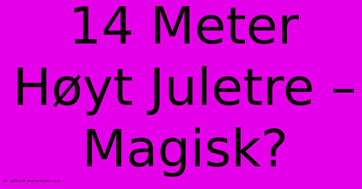 14 Meter Høyt Juletre – Magisk?