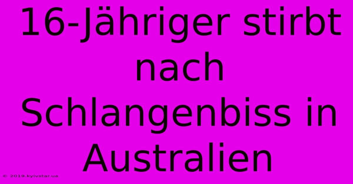 16-Jähriger Stirbt Nach Schlangenbiss In Australien