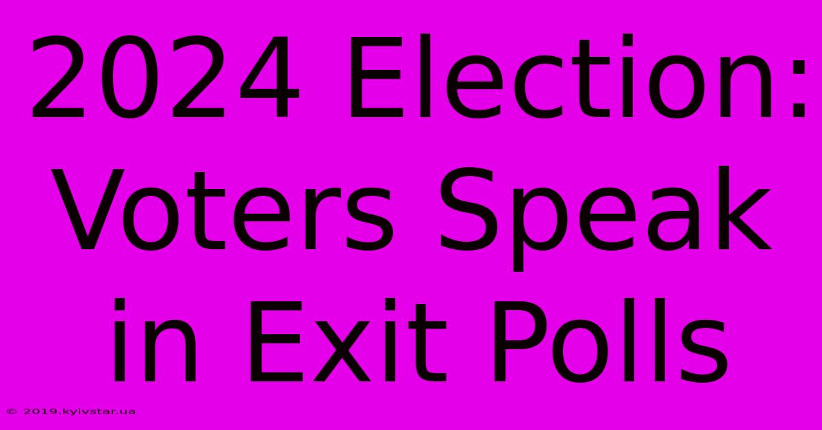 2024 Election: Voters Speak In Exit Polls 