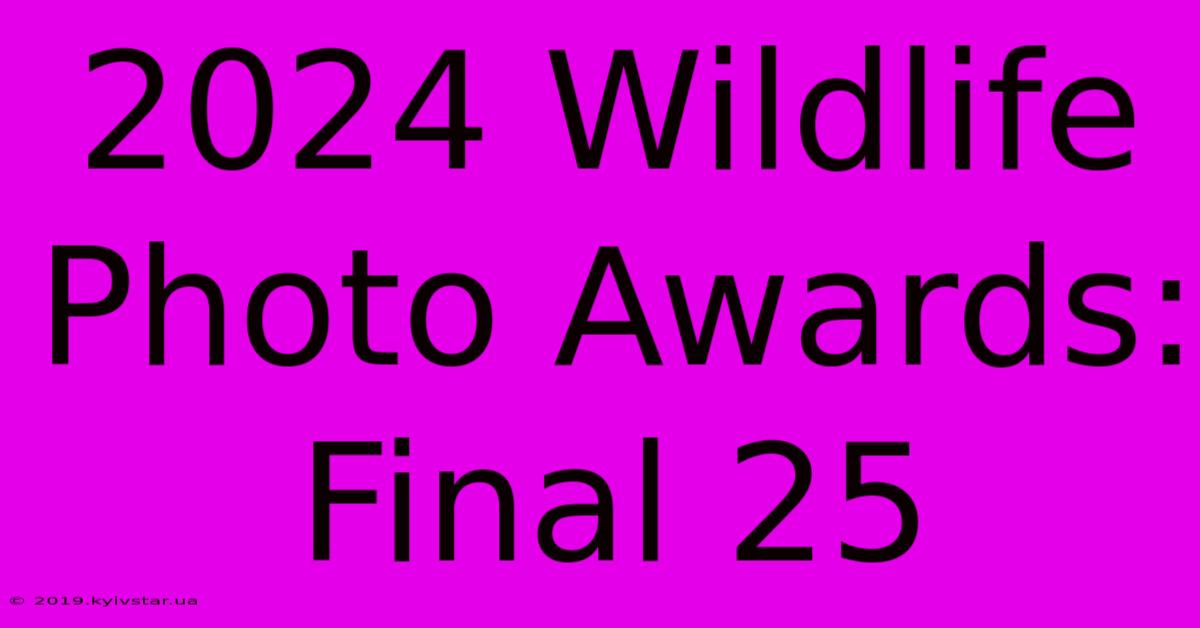 2024 Wildlife Photo Awards: Final 25