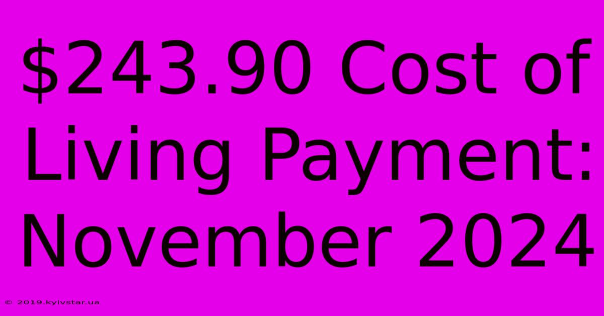 $243.90 Cost Of Living Payment: November 2024 