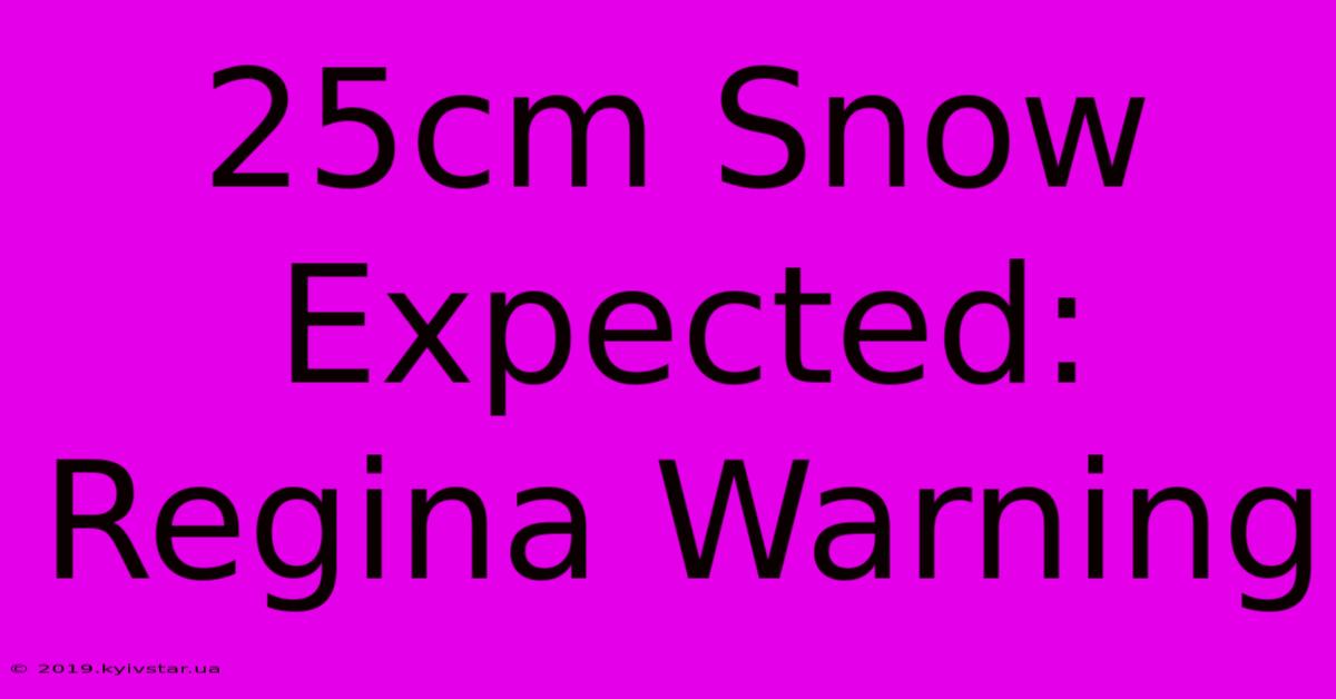 25cm Snow Expected: Regina Warning