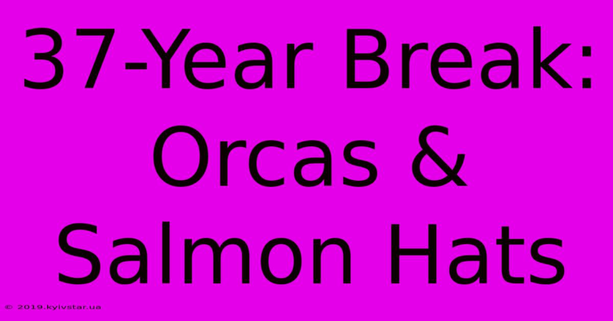 37-Year Break: Orcas & Salmon Hats