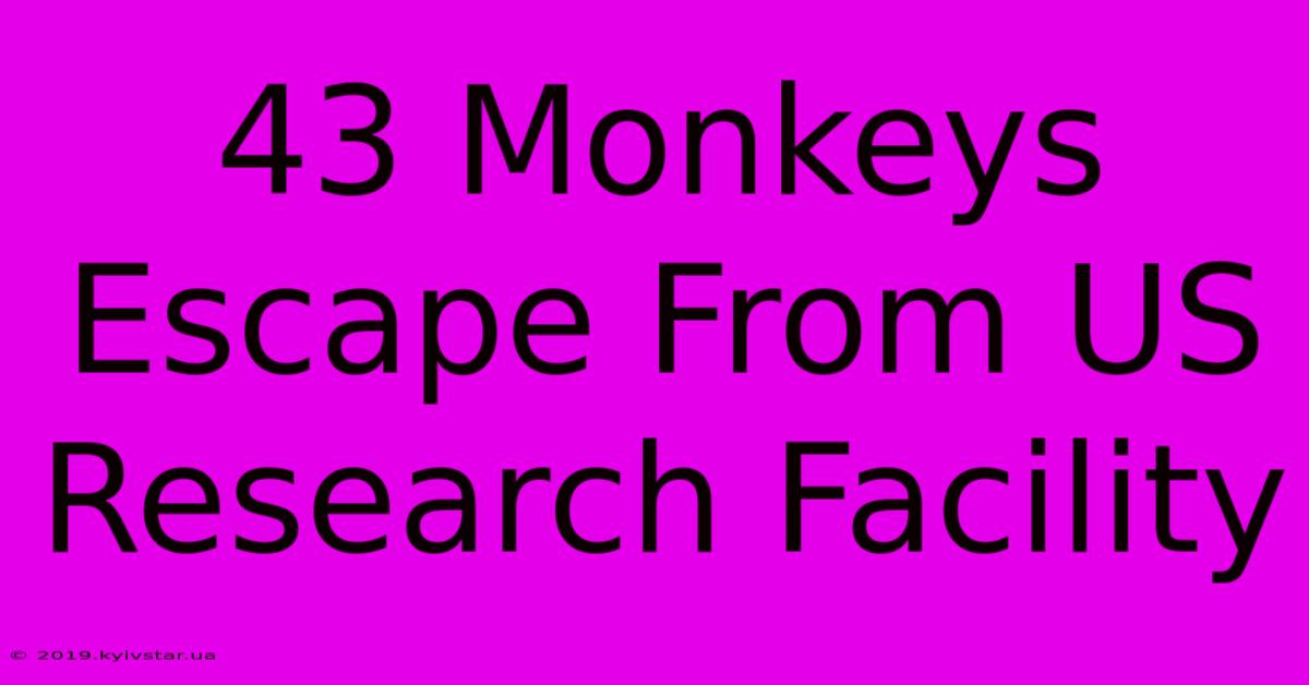 43 Monkeys Escape From US Research Facility 