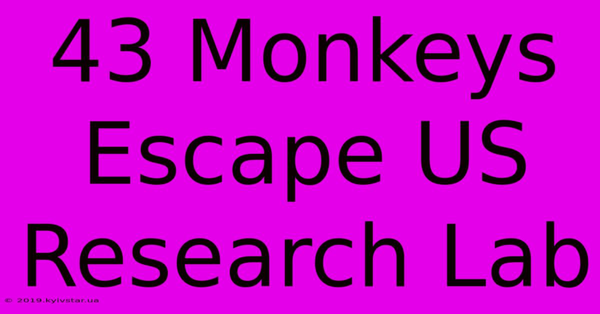 43 Monkeys Escape US Research Lab 