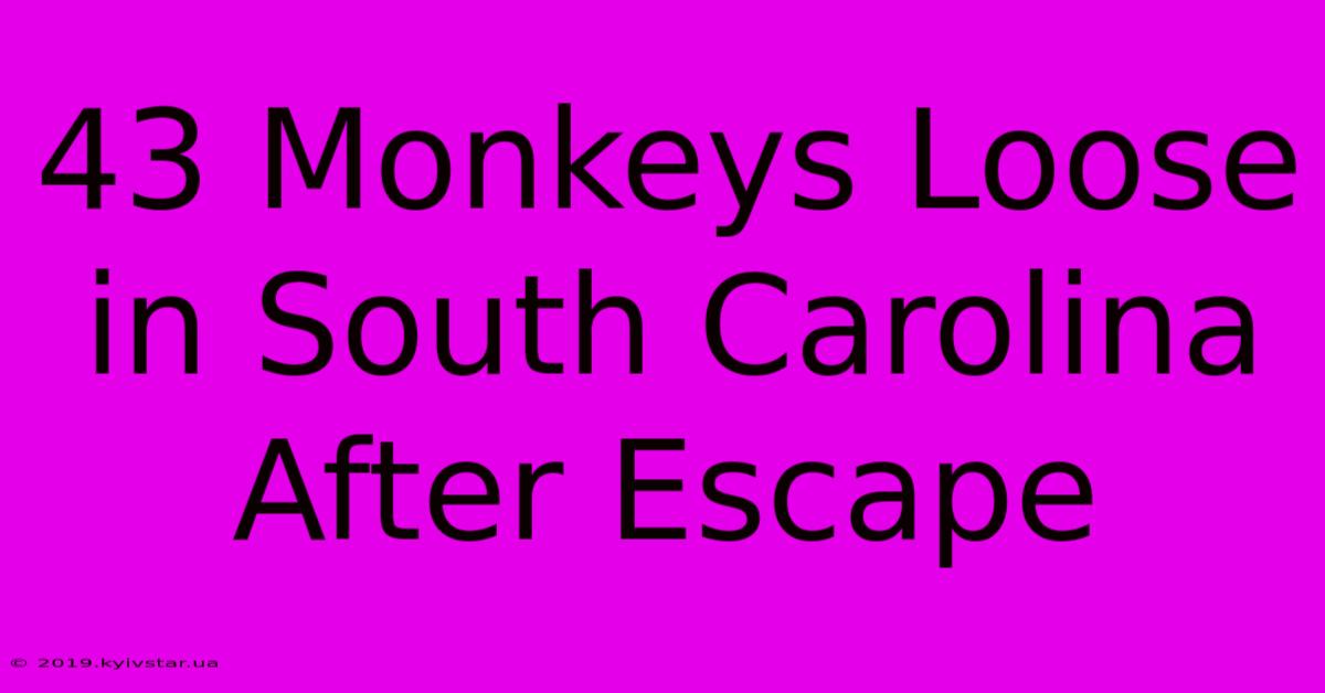 43 Monkeys Loose In South Carolina After Escape