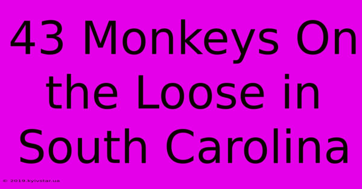 43 Monkeys On The Loose In South Carolina 