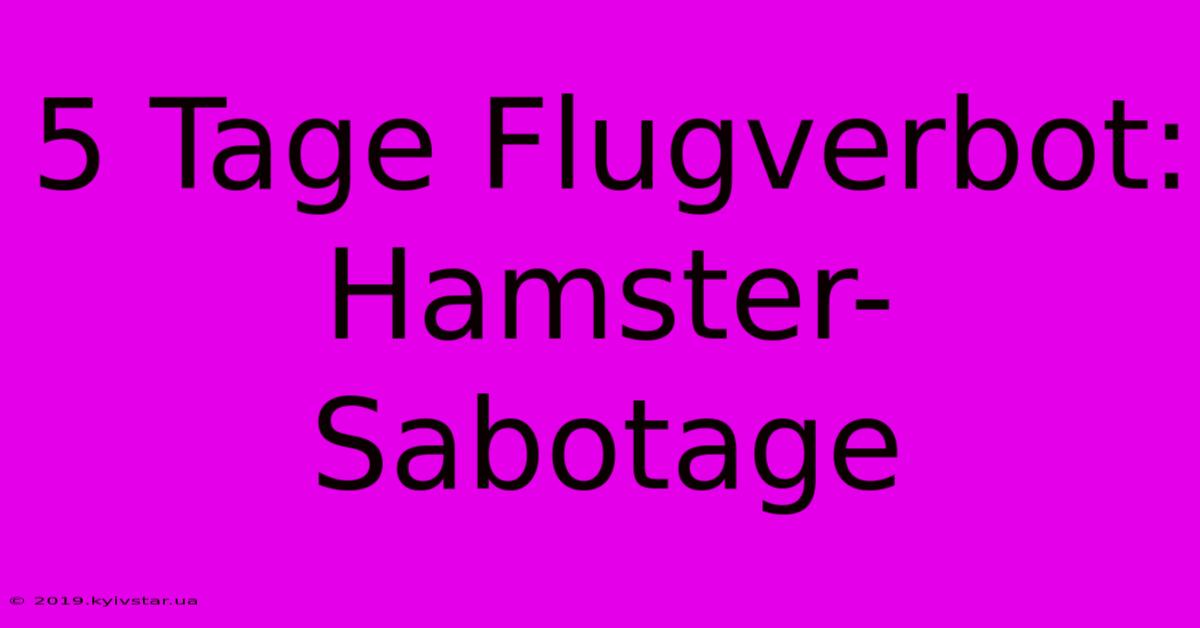 5 Tage Flugverbot: Hamster-Sabotage