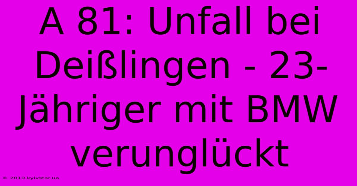 A 81: Unfall Bei Deißlingen - 23-Jähriger Mit BMW Verunglückt 