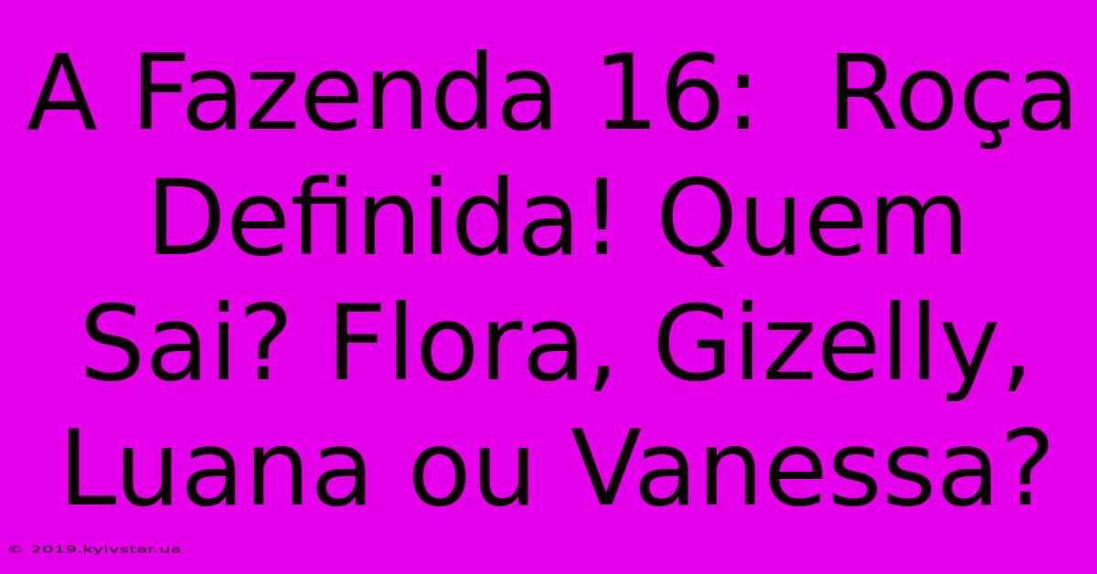 A Fazenda 16:  Roça Definida! Quem Sai? Flora, Gizelly, Luana Ou Vanessa?