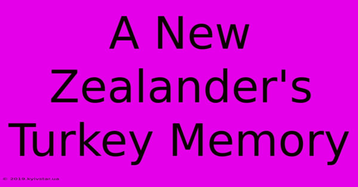 A New Zealander's Turkey Memory