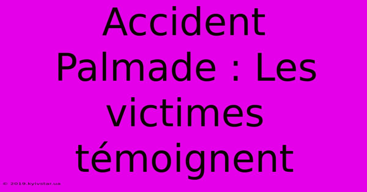 Accident Palmade : Les Victimes Témoignent