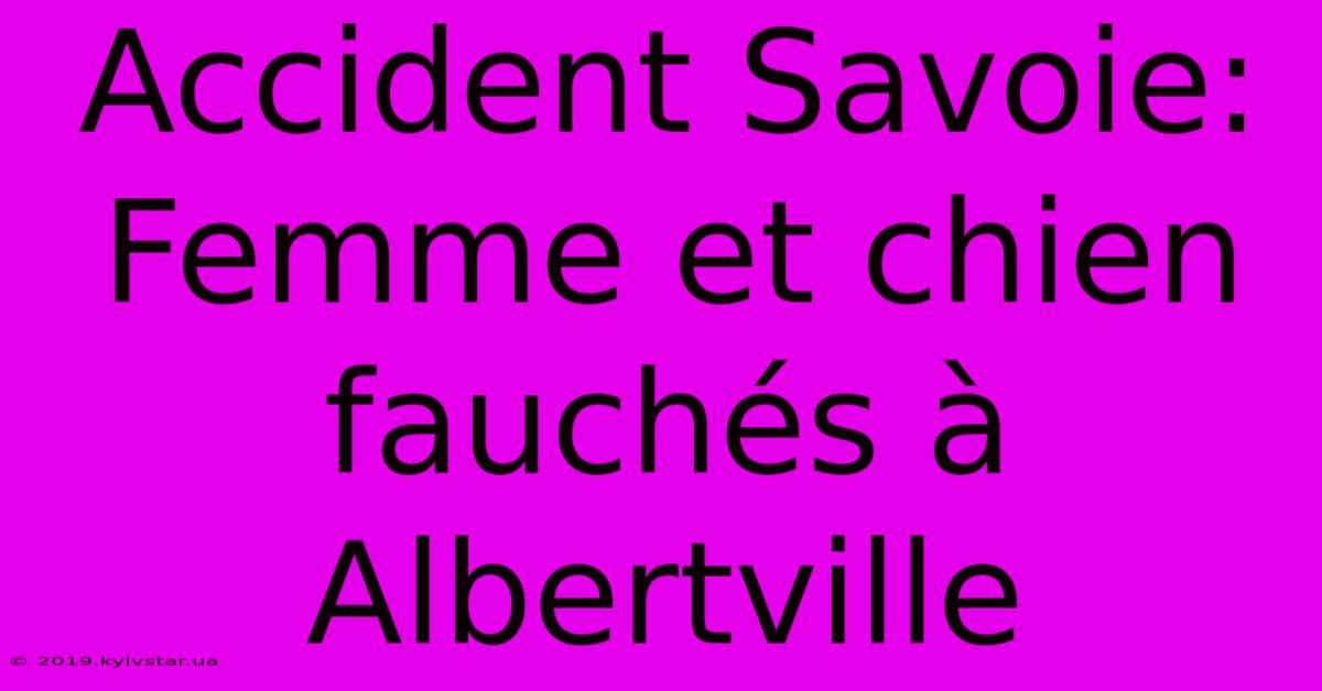 Accident Savoie: Femme Et Chien Fauchés À Albertville