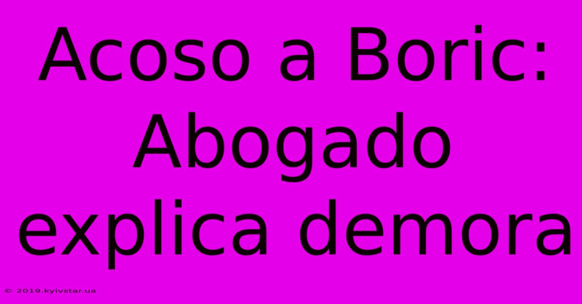 Acoso A Boric: Abogado Explica Demora