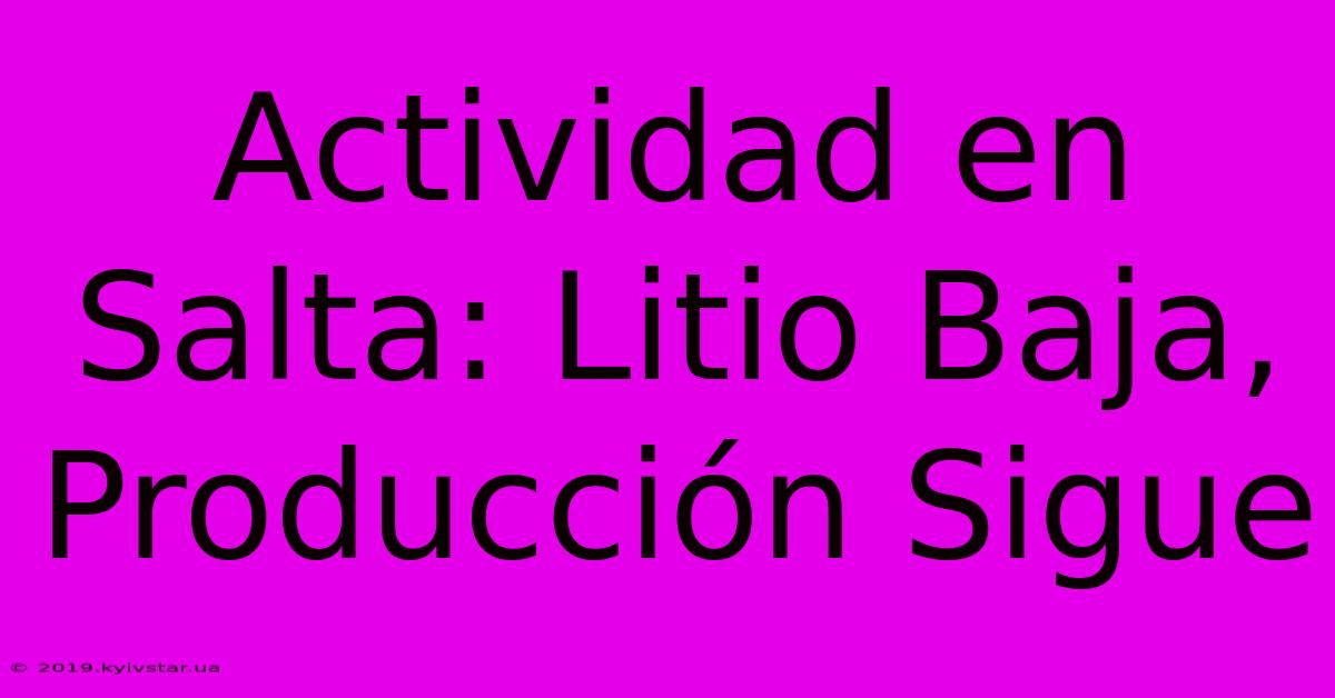 Actividad En Salta: Litio Baja, Producción Sigue 