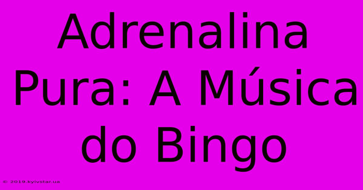 Adrenalina Pura: A Música Do Bingo