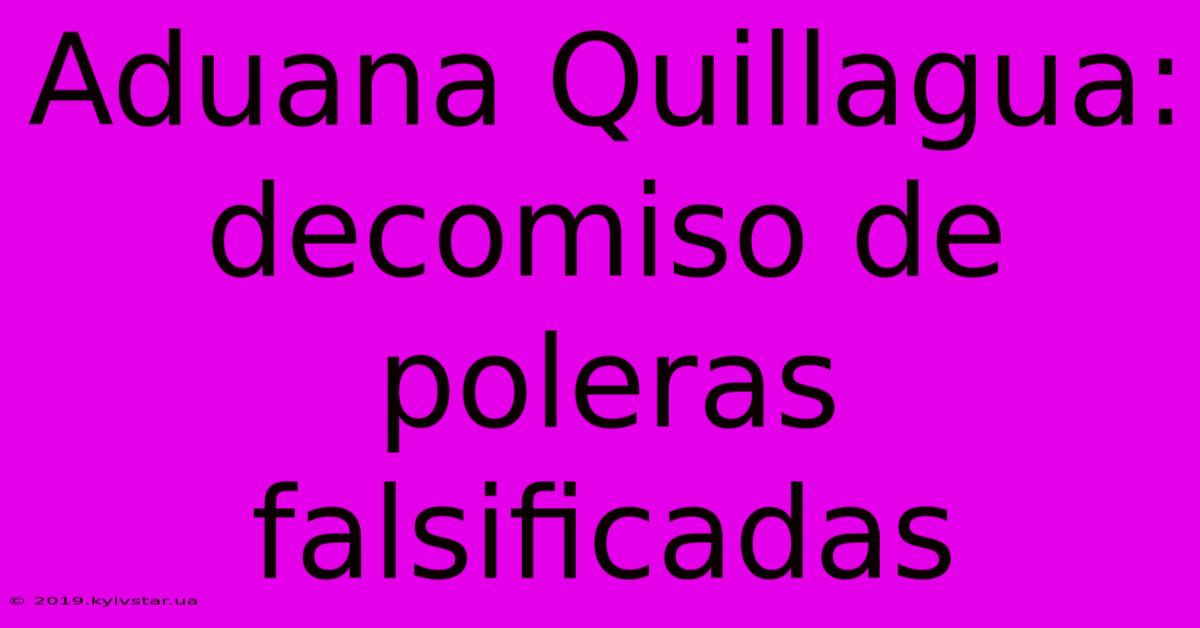 Aduana Quillagua: Decomiso De Poleras Falsificadas