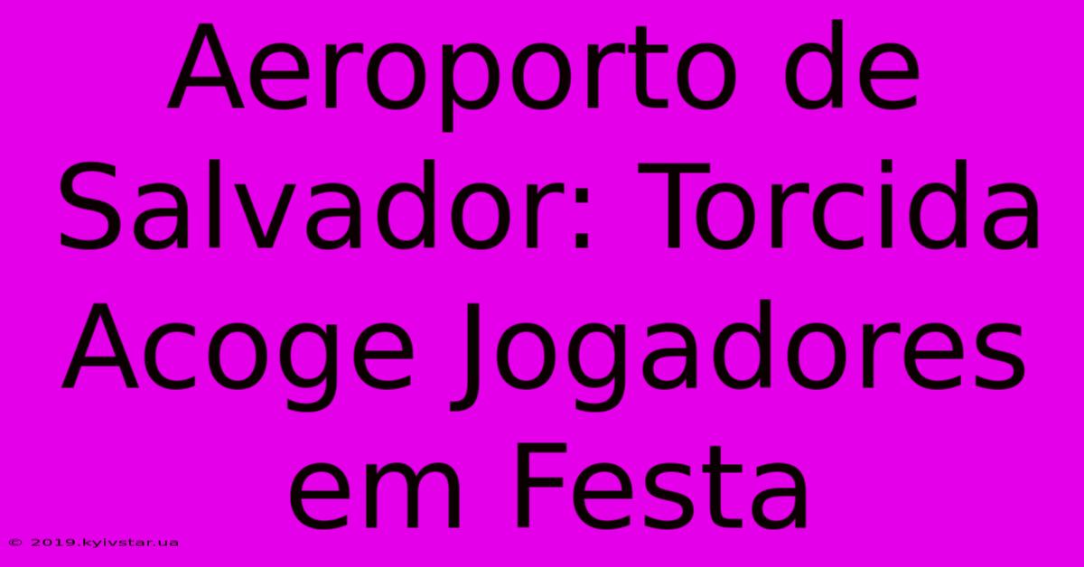 Aeroporto De Salvador: Torcida Acoge Jogadores Em Festa