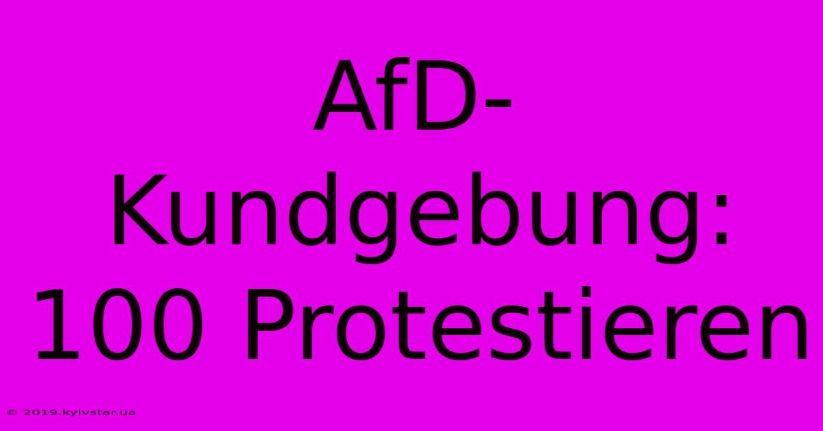 AfD-Kundgebung: 100 Protestieren