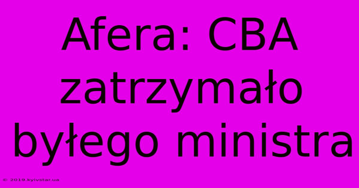 Afera: CBA Zatrzymało Byłego Ministra