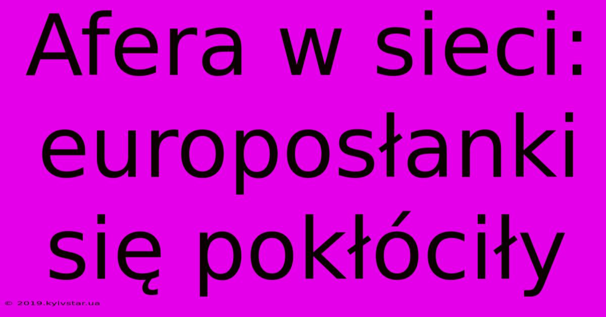 Afera W Sieci: Europosłanki Się Pokłóciły