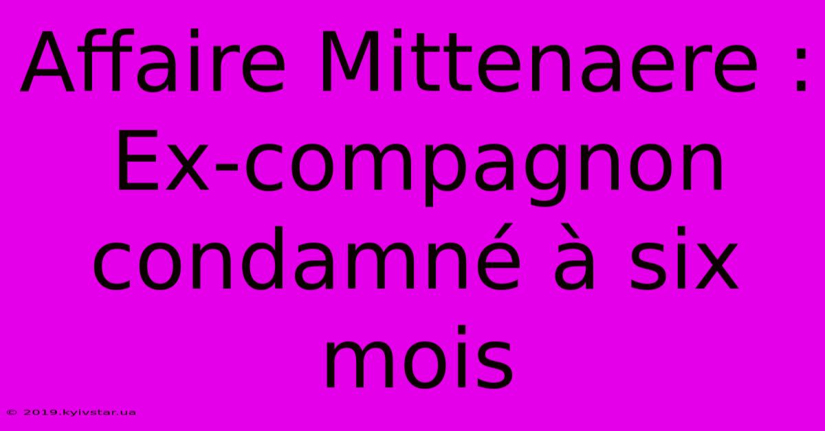 Affaire Mittenaere : Ex-compagnon Condamné À Six Mois