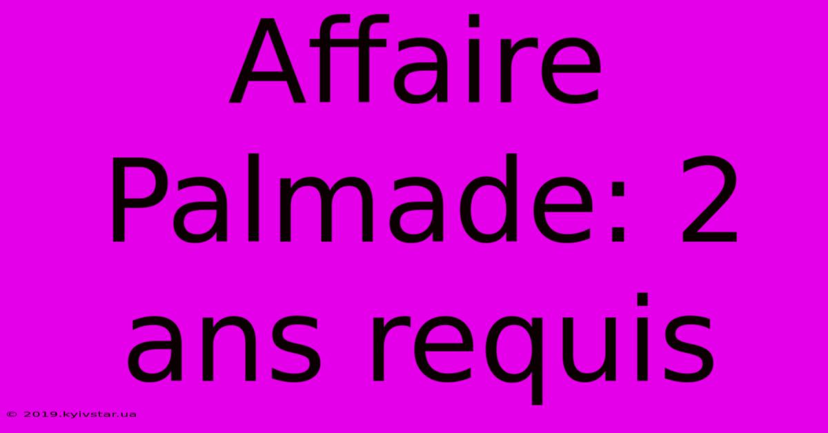 Affaire Palmade: 2 Ans Requis