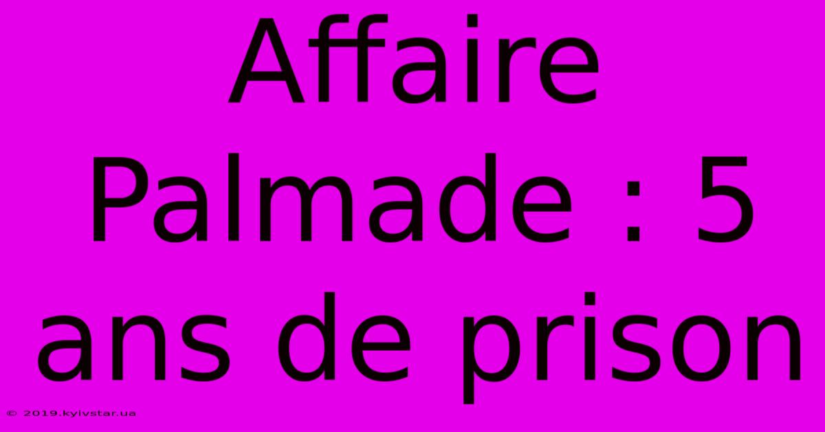 Affaire Palmade : 5 Ans De Prison