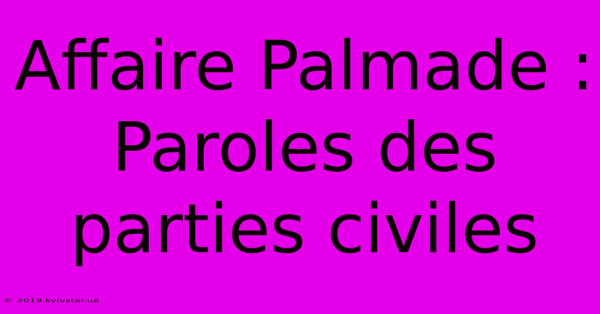 Affaire Palmade : Paroles Des Parties Civiles