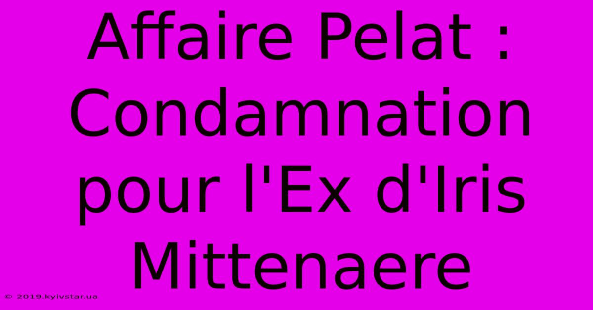 Affaire Pelat : Condamnation Pour L'Ex D'Iris Mittenaere