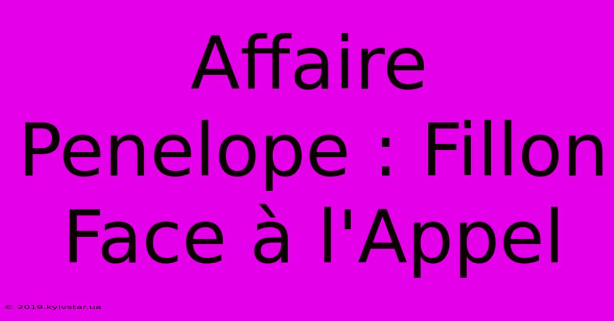 Affaire Penelope : Fillon Face À L'Appel