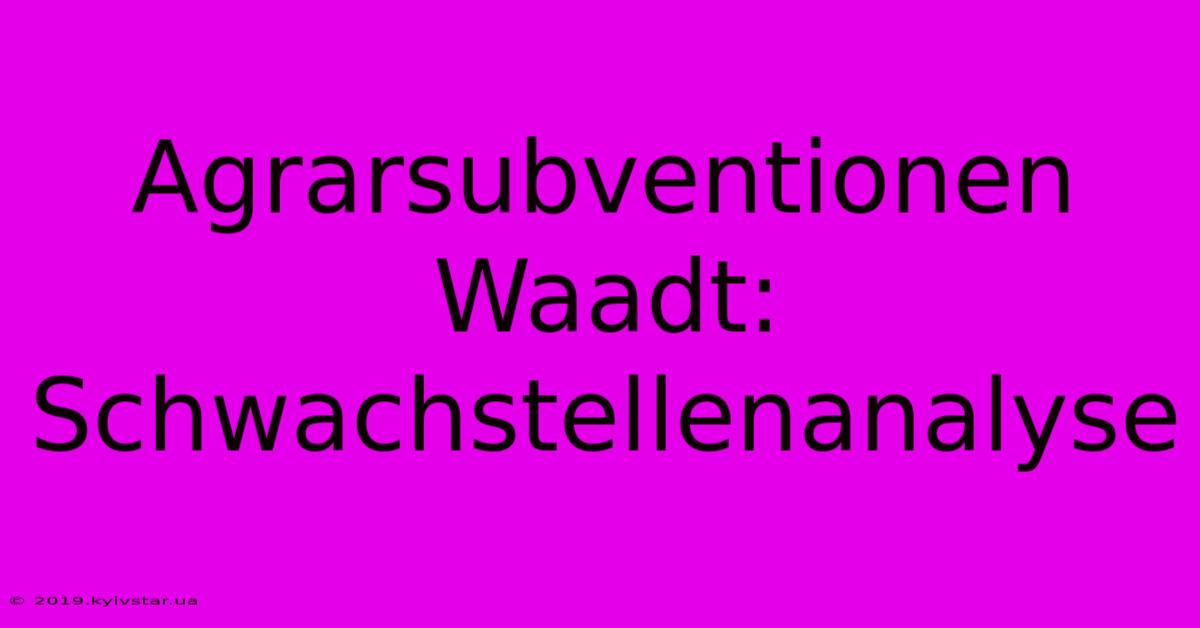 Agrarsubventionen Waadt: Schwachstellenanalyse