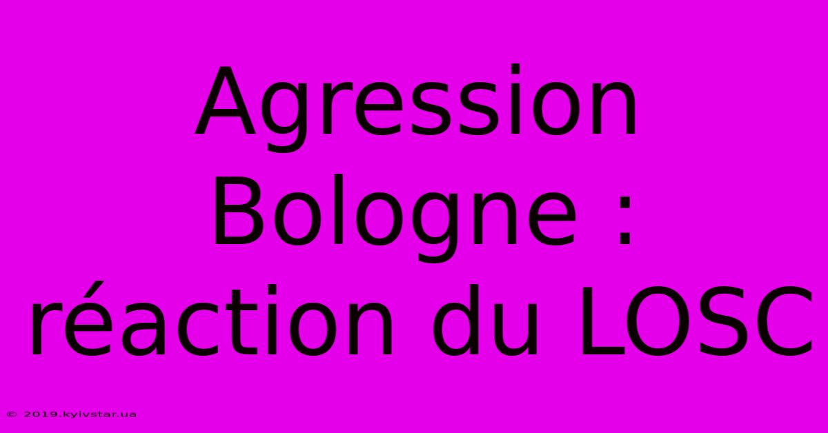 Agression Bologne : Réaction Du LOSC