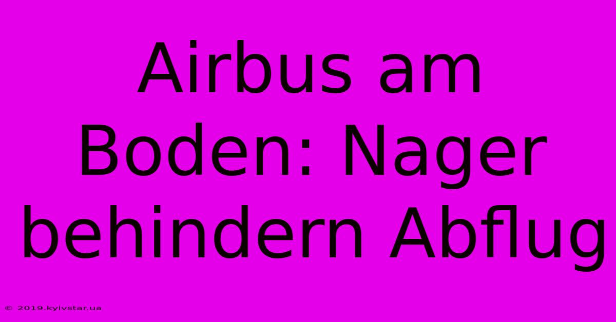 Airbus Am Boden: Nager Behindern Abflug