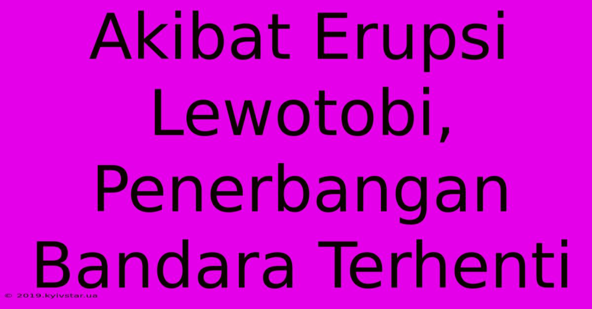 Akibat Erupsi Lewotobi, Penerbangan Bandara Terhenti