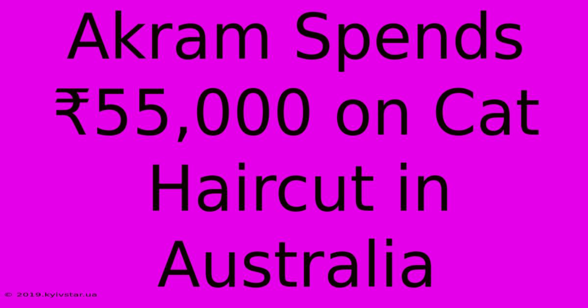 Akram Spends ₹55,000 On Cat Haircut In Australia