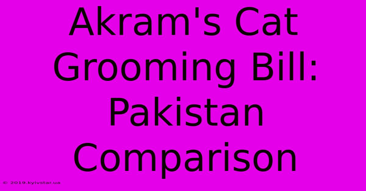 Akram's Cat Grooming Bill: Pakistan Comparison 