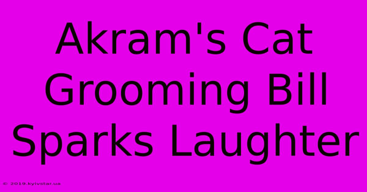 Akram's Cat Grooming Bill Sparks Laughter