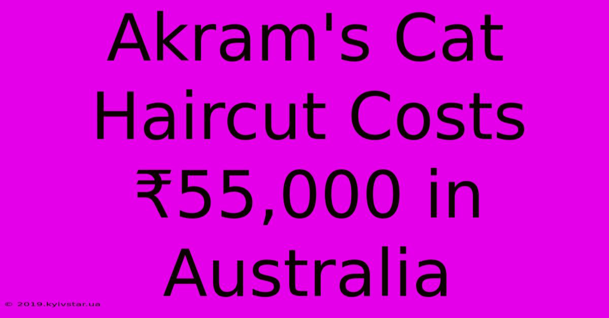 Akram's Cat Haircut Costs ₹55,000 In Australia