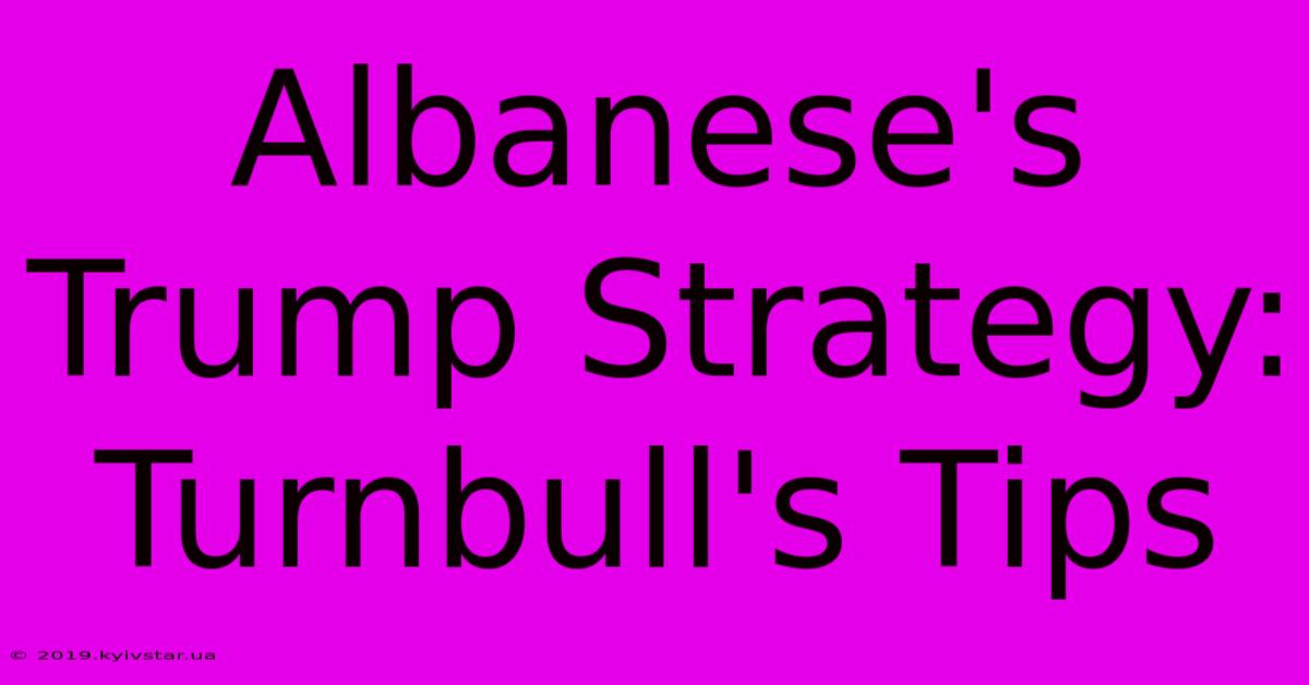 Albanese's Trump Strategy: Turnbull's Tips 