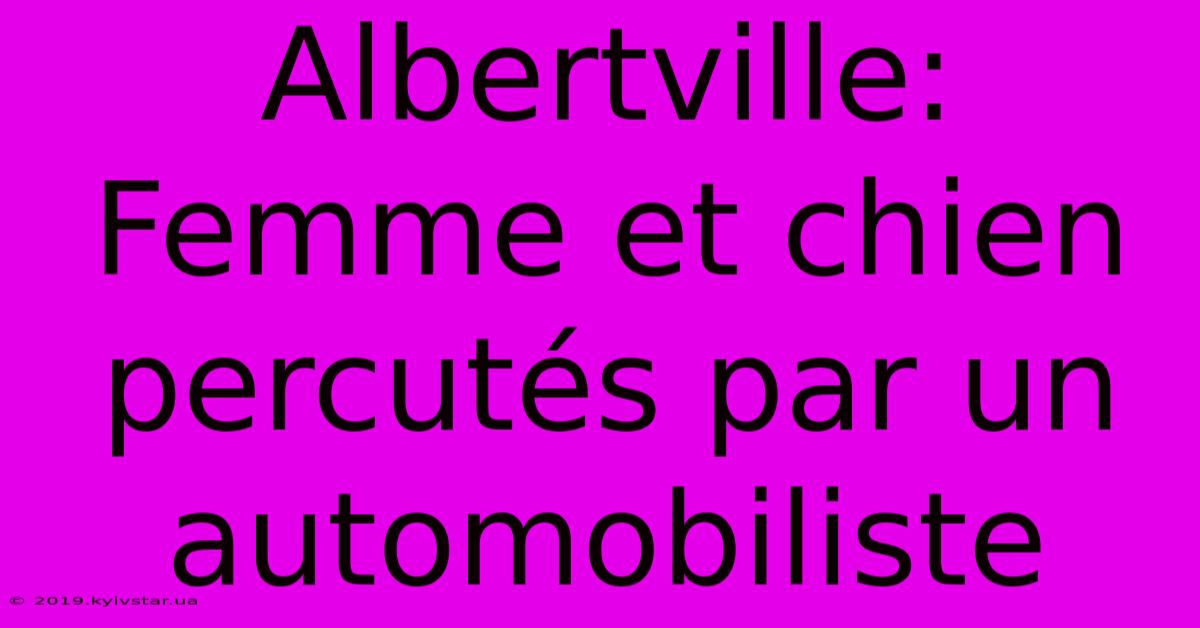 Albertville: Femme Et Chien Percutés Par Un Automobiliste