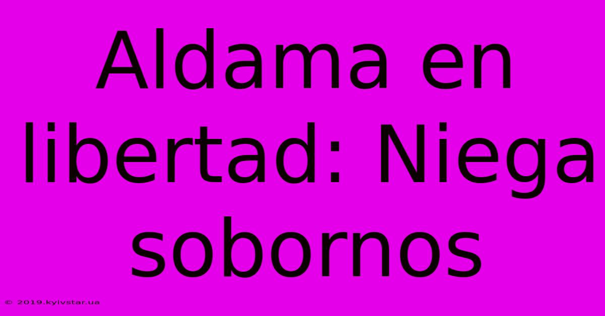 Aldama En Libertad: Niega Sobornos