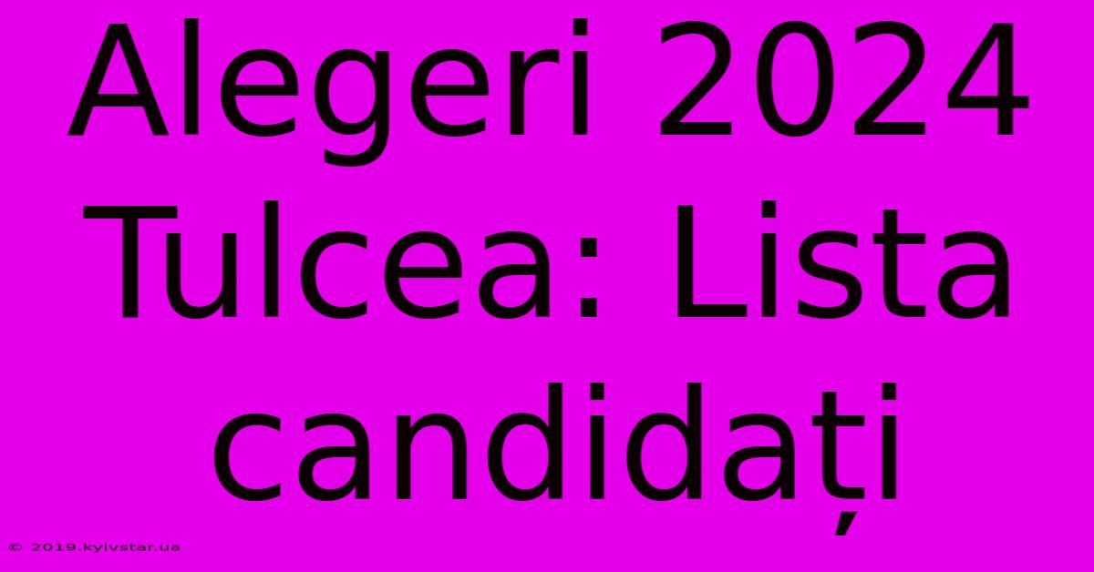 Alegeri 2024 Tulcea: Lista Candidați