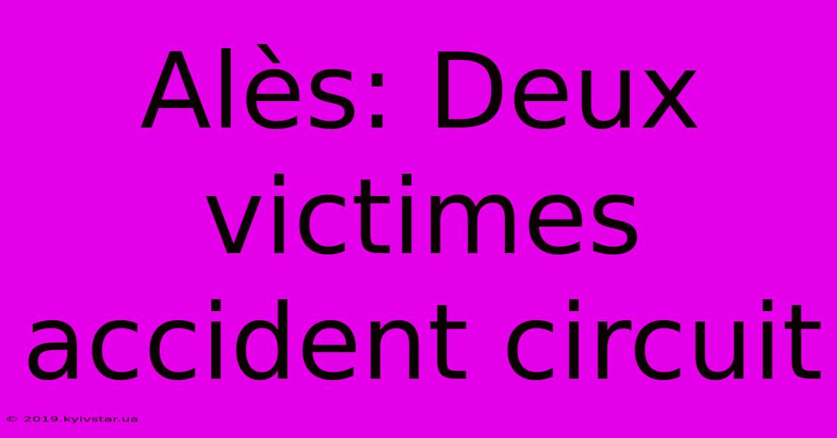 Alès: Deux Victimes Accident Circuit