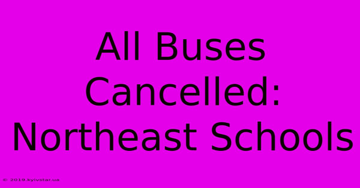 All Buses Cancelled: Northeast Schools