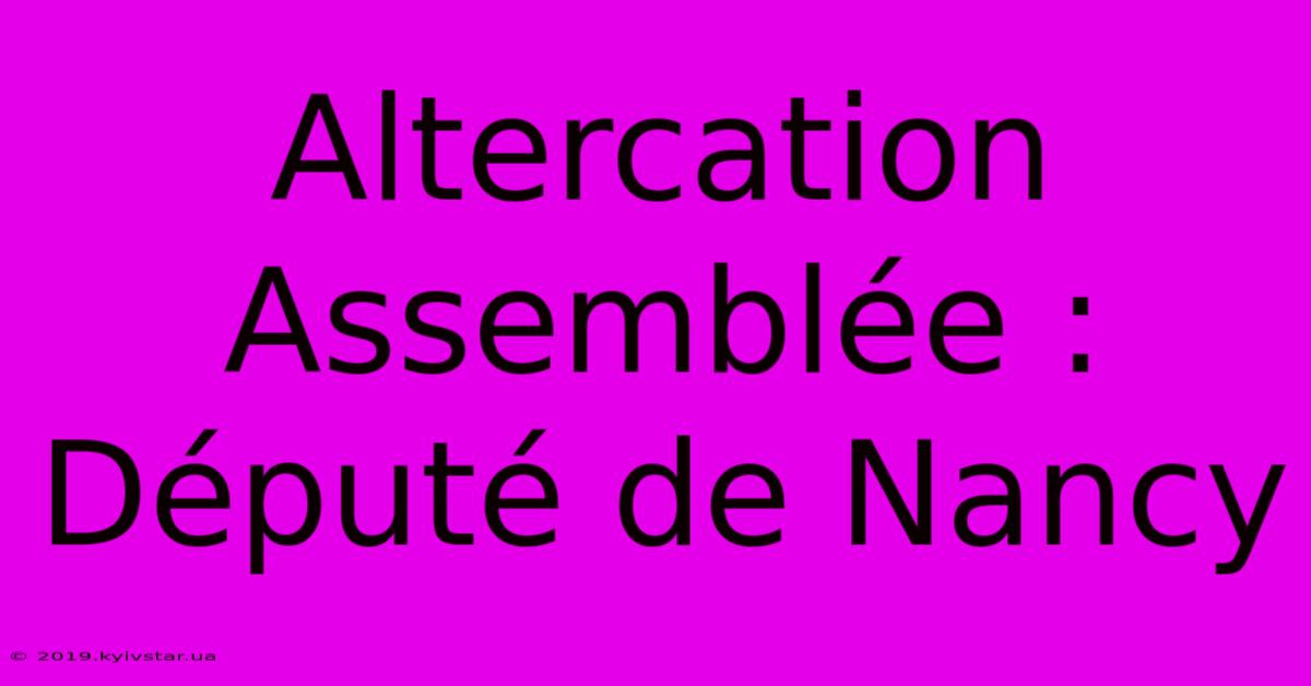 Altercation Assemblée : Député De Nancy