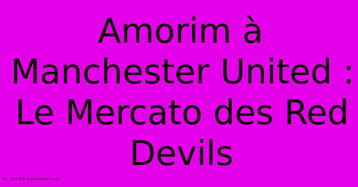 Amorim À Manchester United : Le Mercato Des Red Devils